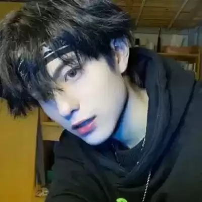 林丝微